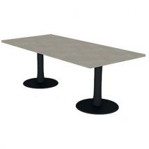 Table De Réunion Plateau Rectangulaire 210x100 Béton