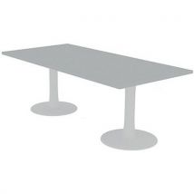 Table De Réunion Plateau Rectangulaire 210x100 Gris