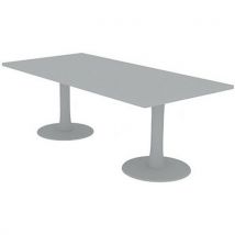 Table De Réunion Plateau Rectangulaire 210x100 Gris