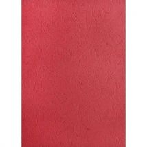Lot de 100 - 100 Cartons Veiné Cuir - Rouge