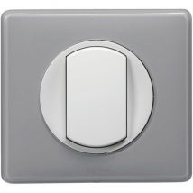 Plaque Gris Perle Avec Un Poste D'inserts Interrupteurs