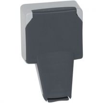 Prise 2p+t À Volet Ip 66 Plexo Composable 16a - 250v