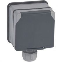 Prise 3p+t À Éclips De Protection Plexo 66 Complet