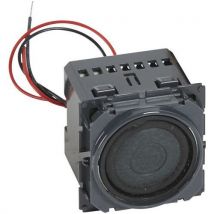 Alimentation Pour Tuner Avec Haut-parleur Intégré