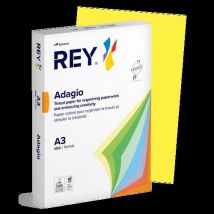 Ramette 500 Feuilles Vives 80g A3 - Citron