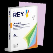 Ramette 500 Feuilles Vives 80g A3 - Lilas