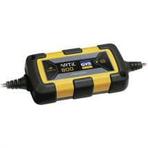 Chargeur Artic 800 Batterie Auto/moto