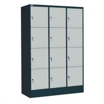 Armoire 12 Casiers Électriques Gris Foncé/gris Clair