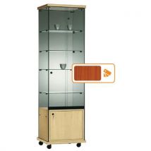 Vitrine Easy E5 Armoire Basse Type:e5 Largeur:52