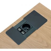 Obturateur D'alimentation 1 Prise 220v + 2 Usb Noir