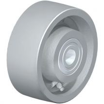 Roue En Fonte G 127_20k