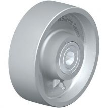 Roue En Fonte G 150_20ik