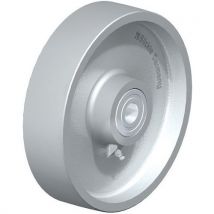 Roue En Fonte G 200_20k