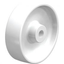 Roue En Polyamide Po 160_20r