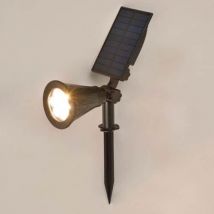 Spot Solaire De Jardin À Piquer Lumière Variable