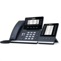 Téléphones Filaires T53w