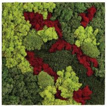 Cadre Végétal N 12 Blanc