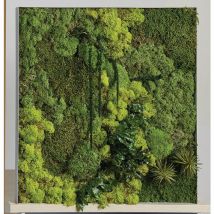 Cadre Végétal N 20 Gris