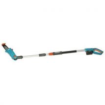 Taille-haies Sur Perche Ths 42/18v P4a