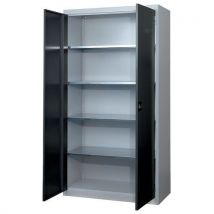 Armoire À Portes Battantes 100x195x40 Cm Gris 7035/gris7016