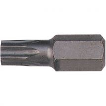 Embout 10mm Vis Xzn M12 75mm