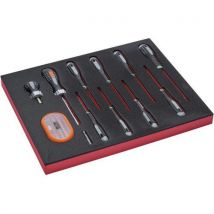 Module Jeu Tournevis Torx/embouts 12 Pièces