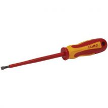 Tournevis Isolé Vis Fente 25x100