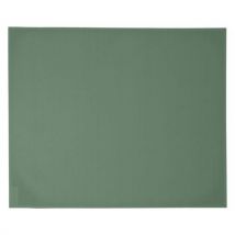 Set De Table Basics 45 X 35 Cm Cactus