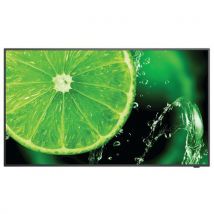 Moniteur D'affichage Dynamique 49'' Multisync E498 - Nec