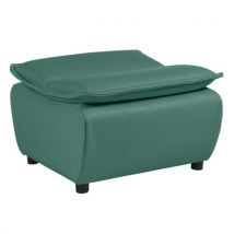 Pouf Zeny Enduit Pvc M1 Vert