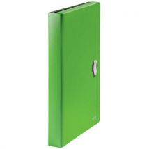 Dossier Extensible Recycle Leitz Vert