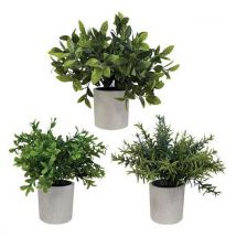 Plantes Artificielles Buis Romarin Gris