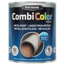 Combicolor Aqua 750ml - Gris Clair Ral7035