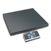 Kern - Bilancia Piattaforma Kern Eoe 300k100l Port 300kg Div 100g