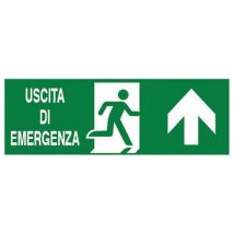 Cart. Alluminiouscita Di Emergenza Avanti 250x700mm Con Scri - Manutan