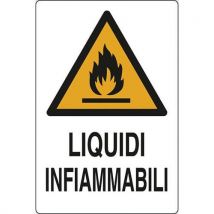 Cart. Alluminio Liquidi 180x120 Infiammabili - Manutan