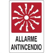 Cart. Alluminio Allarme 700x500mm Antincendio - Manutan