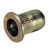 Lotto di 100 Lotto Di 100 Dadi Per Inca Testa Piatta Acciaio M6 - Bollhoff