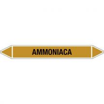 Cart. Adesivo Ammoniaca - Manutan