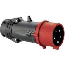 Legrand - Spina 16A 4P+T 400V Plastica - 16 Ampere 415 Volt - Elettricità