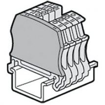 Lotto di 100 Term. Separaz. - Morsetto A Vite -1 Ingr. 1 Uscita 5/6/8/10 - Legrand