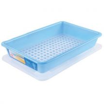 Gilac - Contenitore Piatto 5 L Haccp Con Coperchio E Griglia - Blu