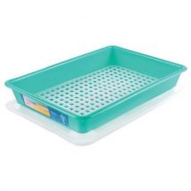 Gilac - Contenitore Piatto 5 L Haccp Con Coperchio E Griglia - Verde