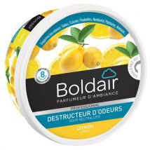 Boldair - Gel Boldair Elimina-odori Limone - 300 G