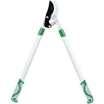 Ribimex - Taglia-rami A Lama Dentata Crantée