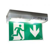 Luminox - Kit Segnaletico Da Soffitto - Contenitore Epsilon