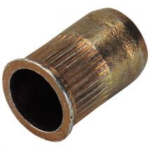 Lotto di 100 100 Rivetti Per Incastonatura Taffleurante Acier M5 - Bollhoff