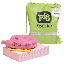 Pig - Kit Assorbenti Per Prodotti Chimici 11 L Quides Agressif
