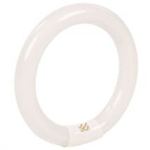 Lampadina Di Ricambio 22 W - Manutan