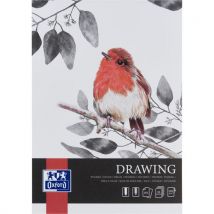 Lotto di 10 Blocco Da Disegno Drawing Art Rilegato A4 25p 200g - Oxford